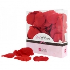 Pétales de roses rouges