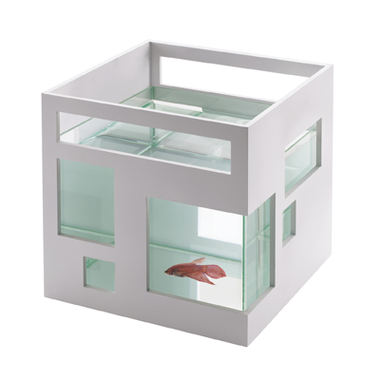 Aquarium design fish Aquarium design fish