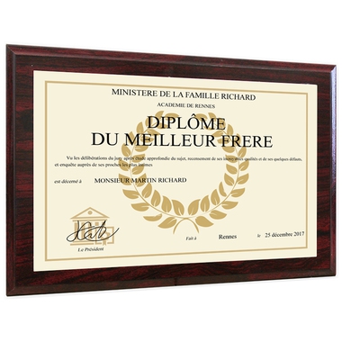 Diplôme personnalisé alu et bois Diplôme personnalisé alu et bois