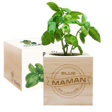 EcoCube Maman de l'année EcoCube Maman de l'année