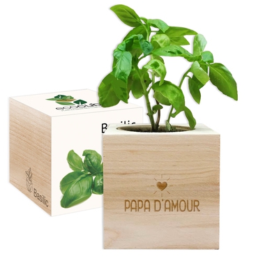 Ecocube Papa d'amour Ecocube Papa d'amour