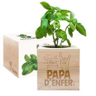 Ecocube Papa d'enfer Ecocube Papa d'enfer