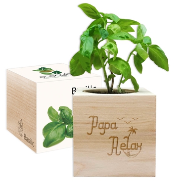 Ecocube Papa relax Ecocube Papa relax