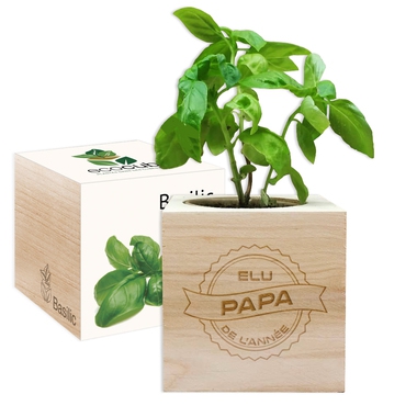 Ecocube Elu papa de l'année Ecocube Elu papa de l'année