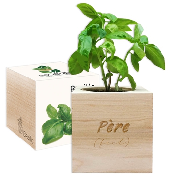 Ecocube Père (fect) Ecocube Père (fect)