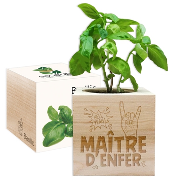 Ecocube maître d'enfer Ecocube maître d'enfer