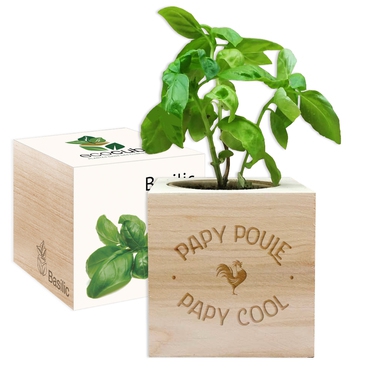 Ecocube papy poule cool Ecocube papy poule cool
