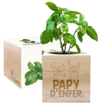Ecocube papy d'enfer Ecocube papy d'enfer