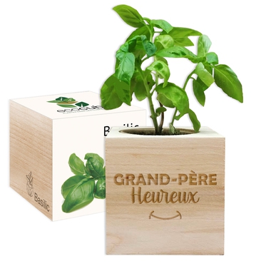 Ecocube grand-père heureux Ecocube grand-père heureux