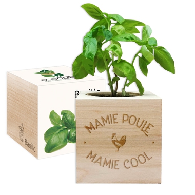 EcoCube Mamie Poule Mamie Cool EcoCube Mamie Poule Mamie Cool