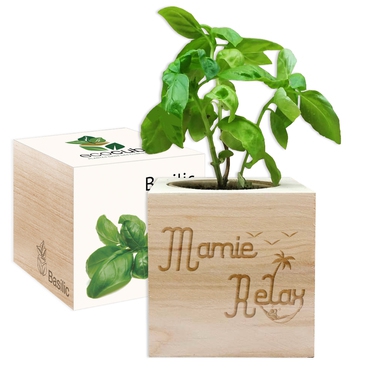 EcoCube Mamie Relax EcoCube Mamie Relax