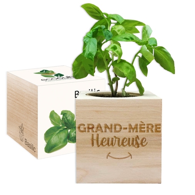 EcoCube Mamie heureuse EcoCube Mamie heureuse