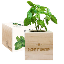 EcoCube Mamie d'amour