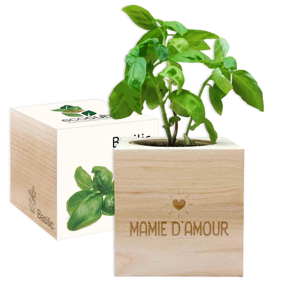 EcoCube Mamie d'amour
