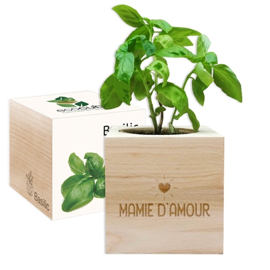 EcoCube Mamie d'amour EcoCube Mamie d'amour